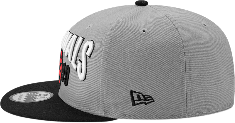 Raptors New Era Men's 2019 Locker Room NBA Finals Snapback Hat